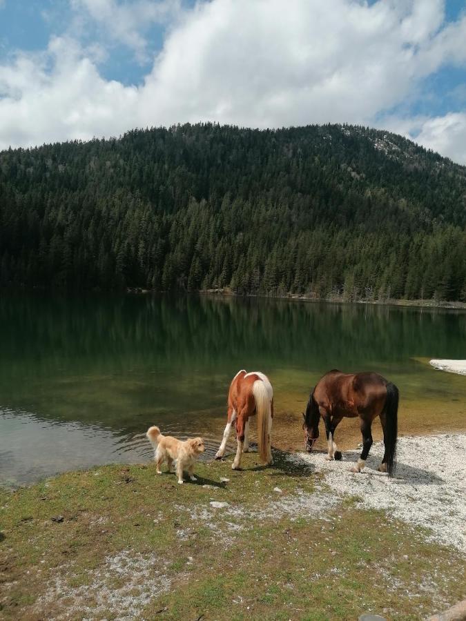 Zabljak_Vikendica Εξωτερικό φωτογραφία