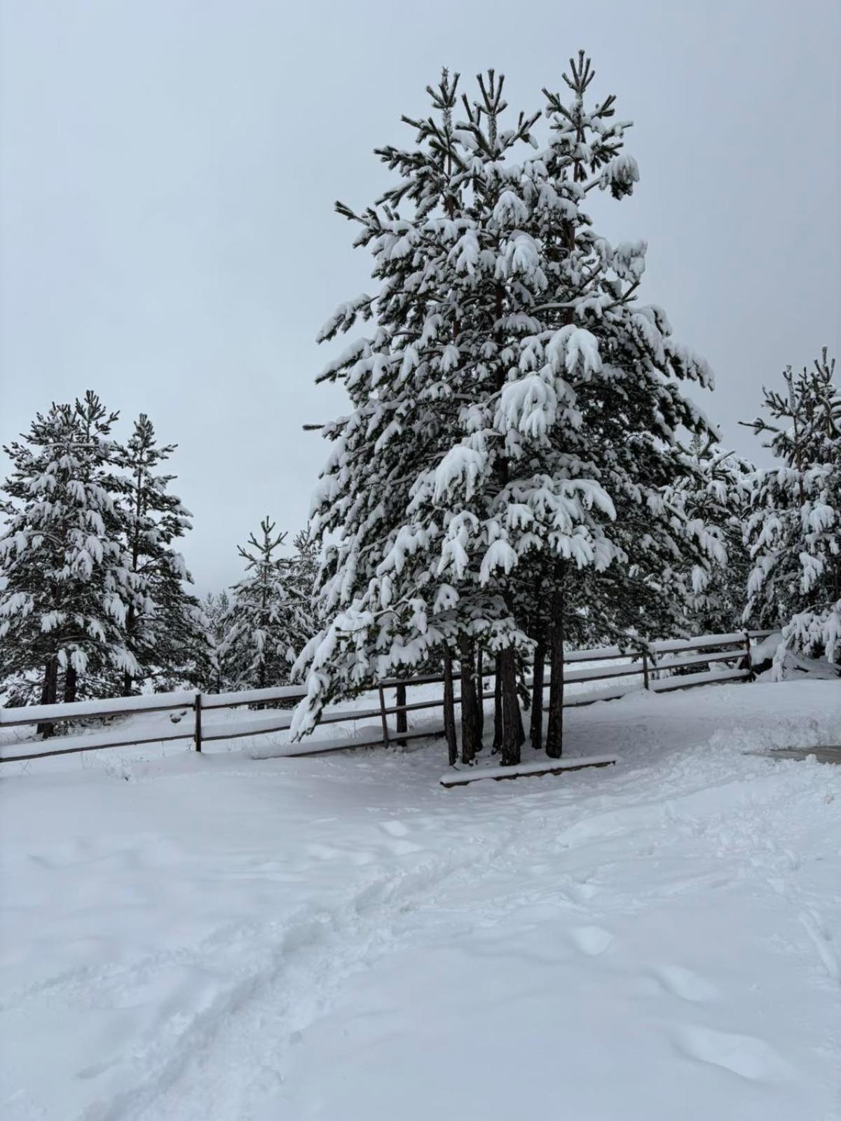 Zabljak_Vikendica Εξωτερικό φωτογραφία